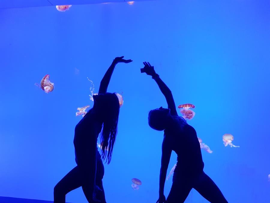 aquarium yoga